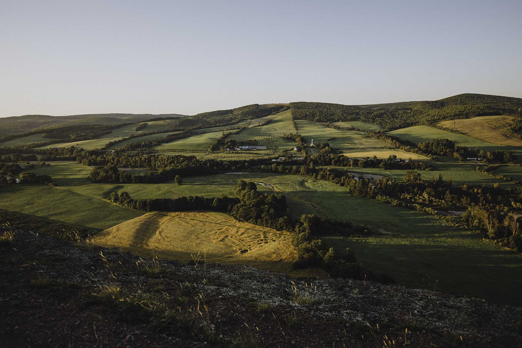 Sussex Bluff